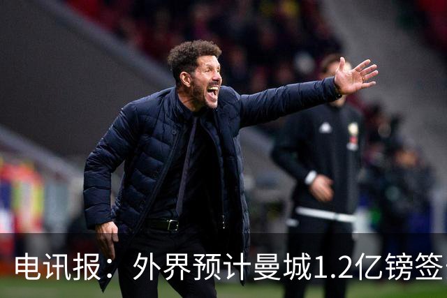 电讯报：外界预计曼城1.2亿镑签安德森 担忧这一价格引发连锁反应